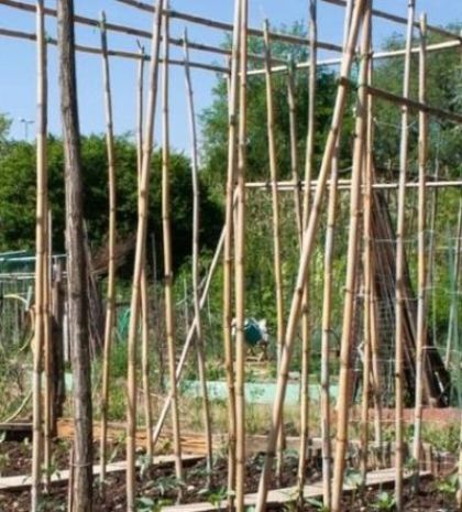 Avviso assegnazione orti comunali anno 2026